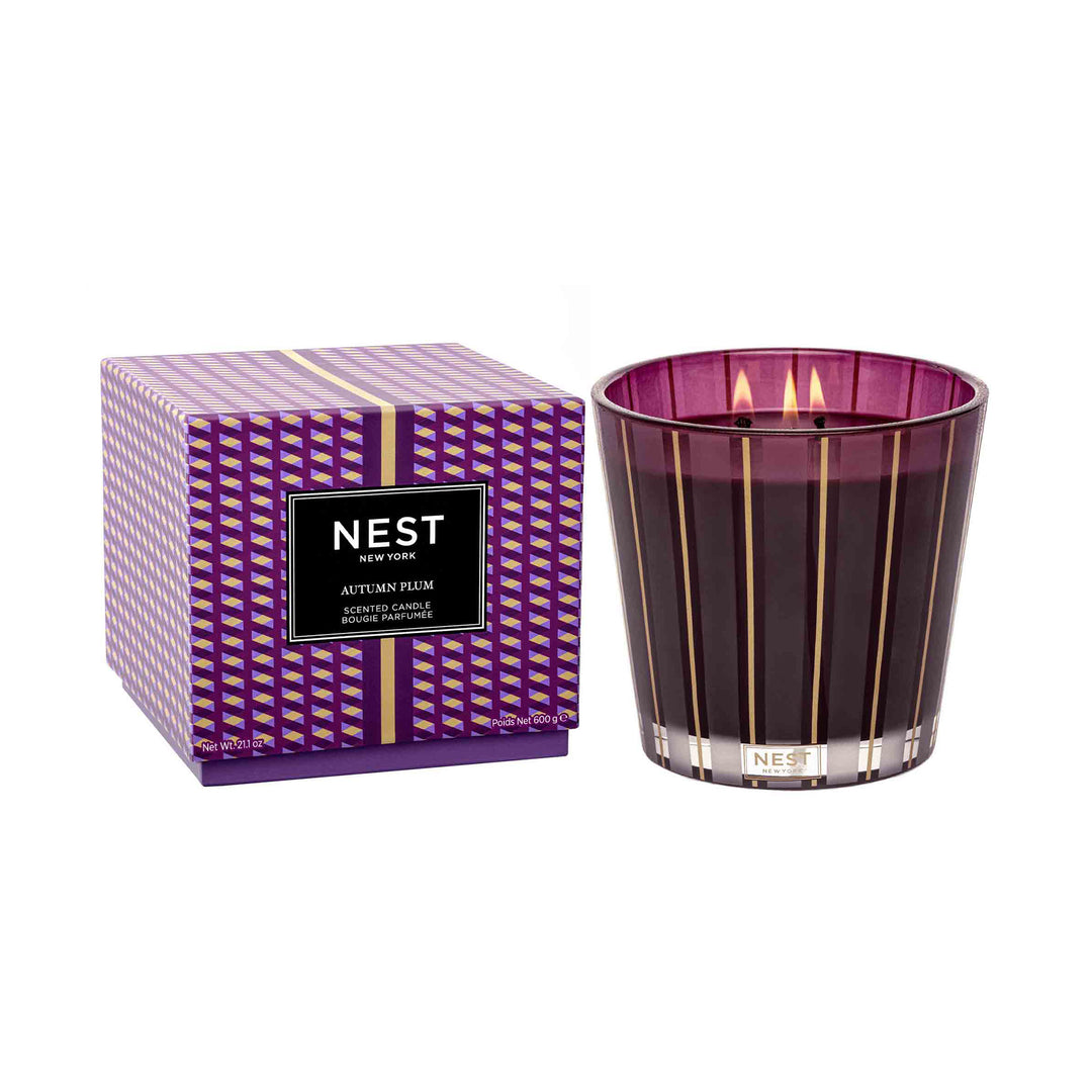 Autumn Plum 3 Wick Candle