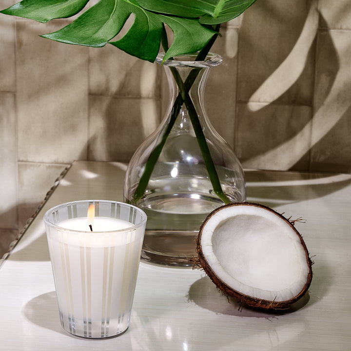 Coconut and Palm Candle