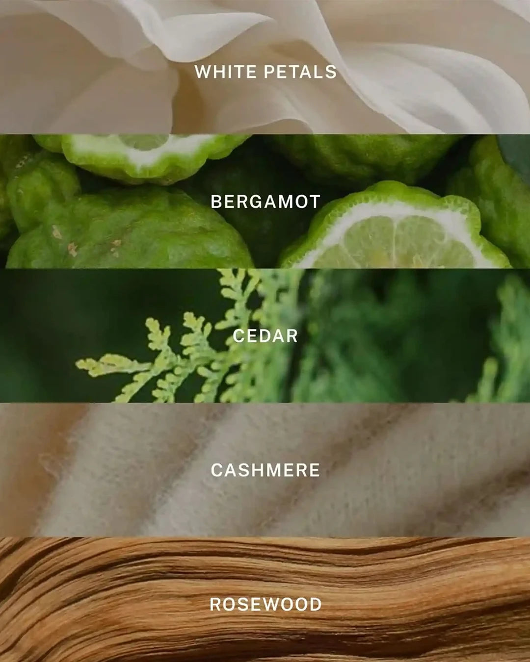 Textured fabric swatches with labels for 'White Petals', 'Bergamot', 'Cedar', 'Cashmere', and 'Rosewood'.