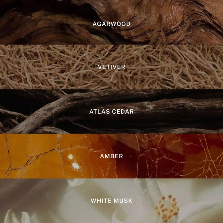 Signature Reed Diffuser