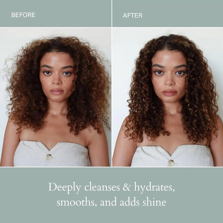 Holiday Mini Essentials