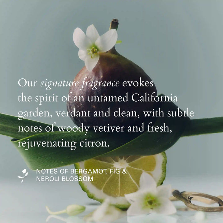 Holiday Mini Essentials