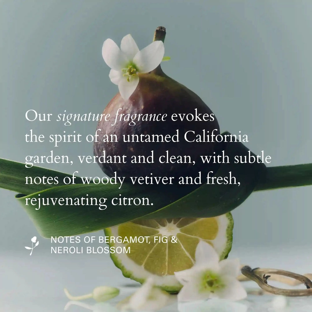 The Day To Night Kit