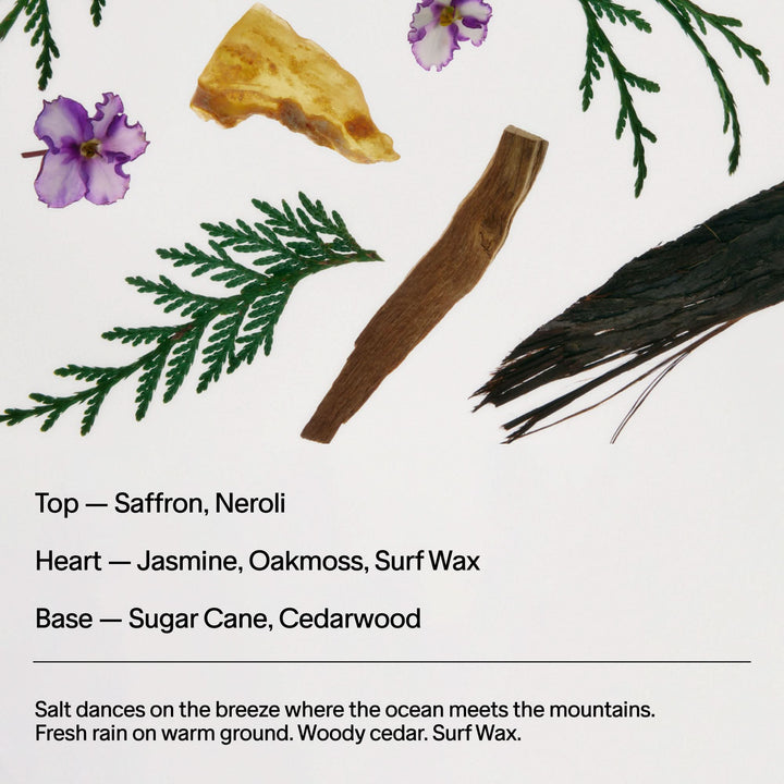 Saffron & Cedar Jumbo Body Lotion 450 Ml