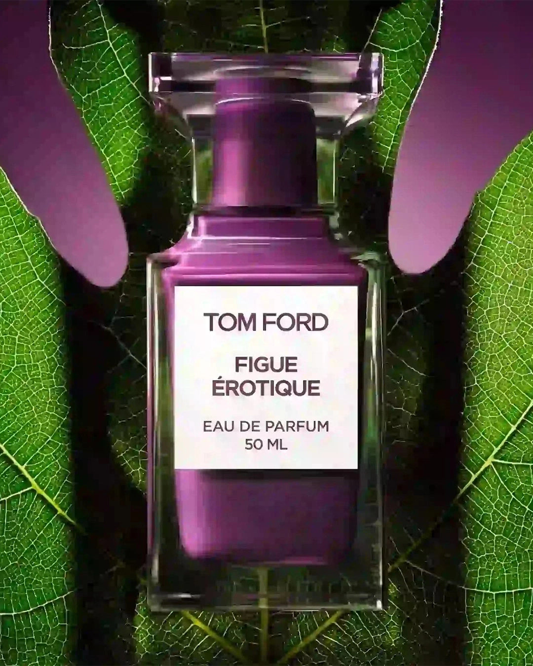 Fig Erotique
