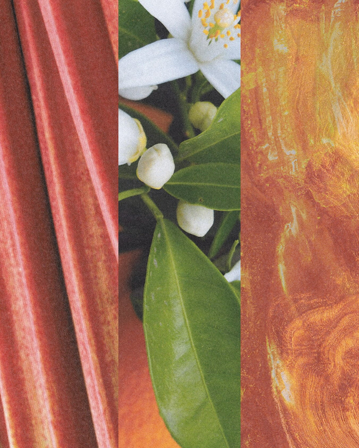 A vertical triptych-style artwork or fabric panel featuring three distinct vertical sections: a close-up of reddish-brown rhubarb stalks on the left, a central close-up of white citrus blossoms with green leaves, and an abstract textured orange-brown pattern on the right.