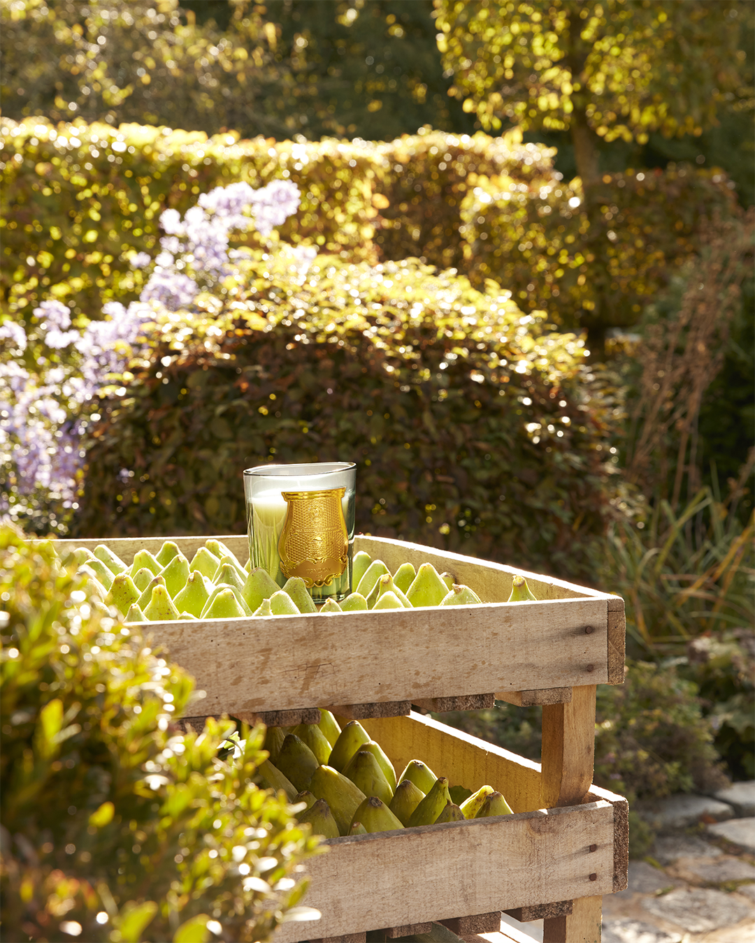A Trudon scented candle displayed atop wooden crates filled with fresh green figs in a sunny garden setting.