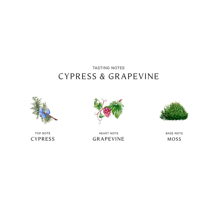 Cypress & Grapevine