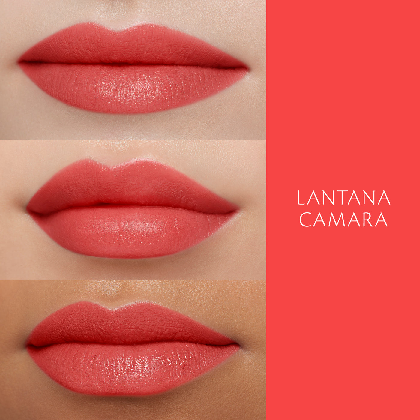 #color_116-lantana-camara