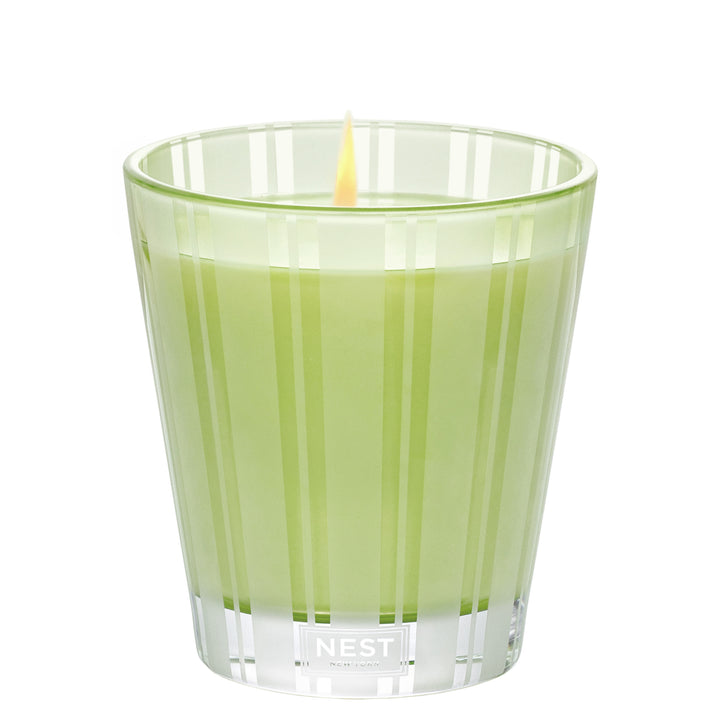 Lime Zest & Matcha Classic Candle