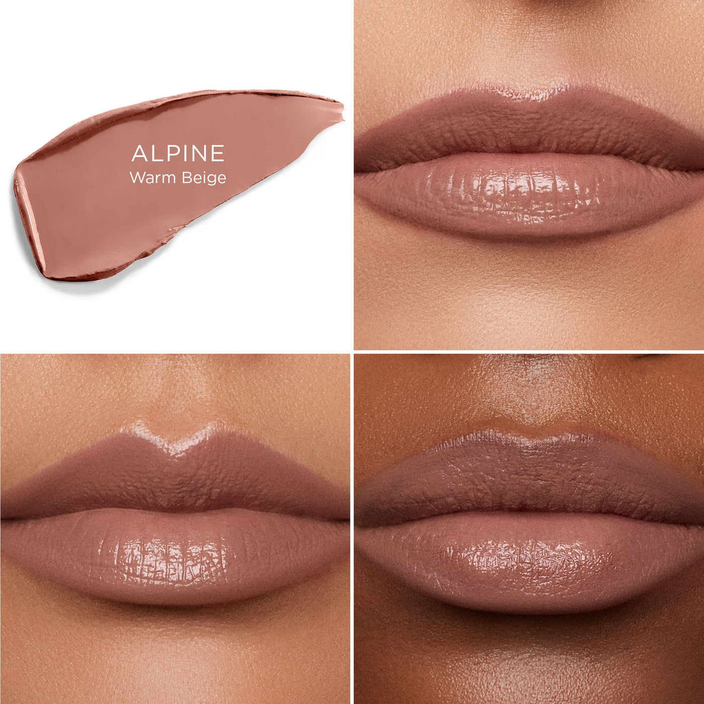 #color_alpine-304