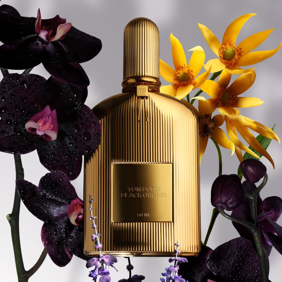Tom ford white orchid perfume hotsell
